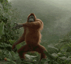 很多人立下的flag不过是在虐待自己  最原始本能的欲望!