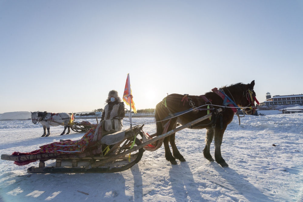 盖花棉,跨雪原,瞧这"东北味儿"十足的极寒游|爬犁|北极村|马拉_新浪