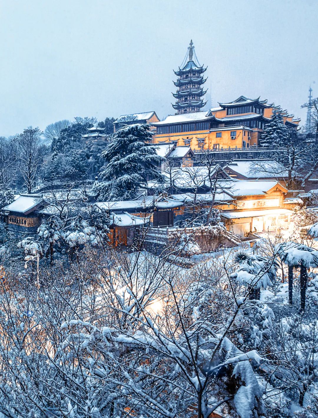 南方人有多爱雪北方人根本不懂