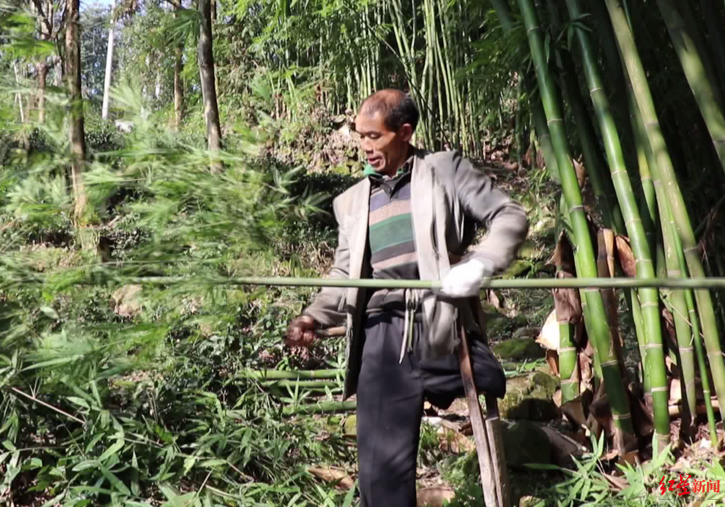 正文  视频中的主角来自四川省乐山市沐川县,是今年54岁的农民刘志才.