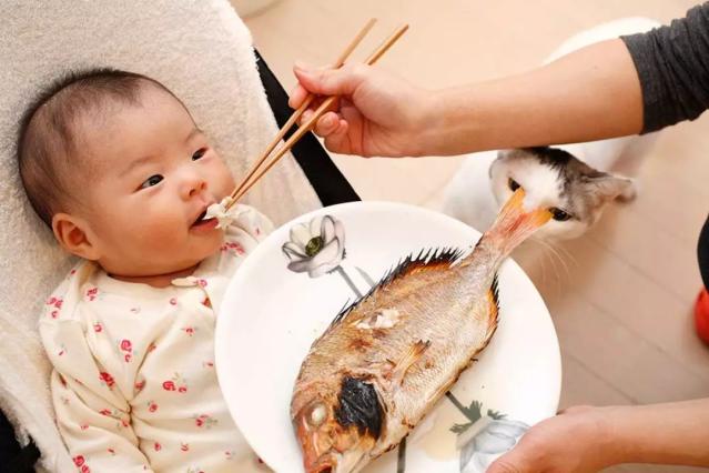怎样给宝宝添加鱼类辅食？这几种鱼一定要少吃