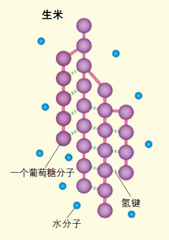 粳米|淀粉|大米_新浪新闻