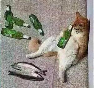 又一位女明星意外猝死，生前最后一条视频曝光：死亡原因揭秘？休闲区蓝鸢梦想 - Www.slyday.coM