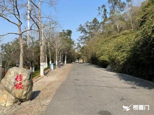 厦门文曾路怪坡路段路灯正式启用 夜游照明有保障