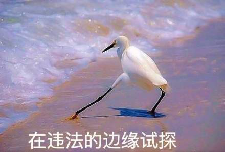 中央政法委长安剑谈郑爽代孕弃养风波：钻法律空子 这绝不是无辜