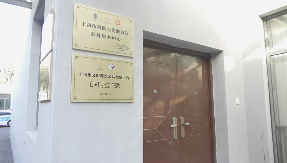 上海小动物救助领养公益服务中心开放，为流浪猫狗免费绝育。