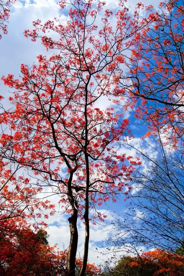 年初的旅行计划都实现了吗?这12个地方人少景美,再不去就晚了休闲区蓝鸢梦想 - Www.slyday.coM 年初的旅行计划都实现了吗?这12个地方人少景美,再不去就晚了休闲区蓝鸢梦想 - Www.slyday.coM