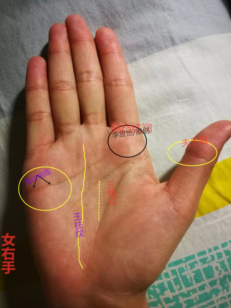婚姻|感情线|手相_新浪新闻