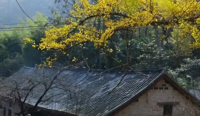 年初的旅行计划都实现了吗?这12个地方人少景美,再不去就晚了休闲区蓝鸢梦想 - Www.slyday.coM 年初的旅行计划都实现了吗?这12个地方人少景美,再不去就晚了休闲区蓝鸢梦想 - Www.slyday.coM