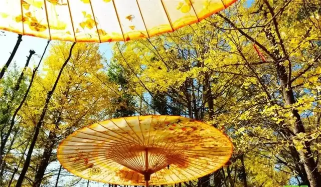 年初的旅行计划都实现了吗?这12个地方人少景美,再不去就晚了休闲区蓝鸢梦想 - Www.slyday.coM 年初的旅行计划都实现了吗?这12个地方人少景美,再不去就晚了休闲区蓝鸢梦想 - Www.slyday.coM