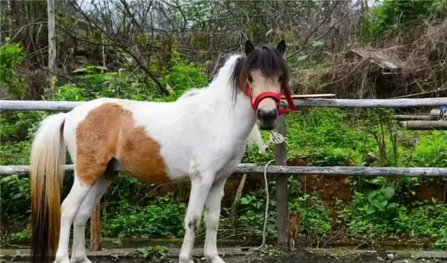 年初的旅行计划都实现了吗?这12个地方人少景美,再不去就晚了休闲区蓝鸢梦想 - Www.slyday.coM 年初的旅行计划都实现了吗?这12个地方人少景美,再不去就晚了休闲区蓝鸢梦想 - Www.slyday.coM