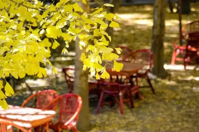 年初的旅行计划都实现了吗?这12个地方人少景美,再不去就晚了休闲区蓝鸢梦想 - Www.slyday.coM 年初的旅行计划都实现了吗?这12个地方人少景美,再不去就晚了休闲区蓝鸢梦想 - Www.slyday.coM