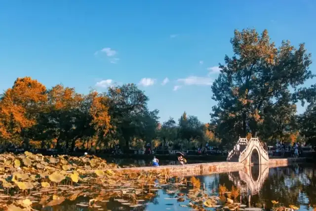 年初的旅行计划都实现了吗?这12个地方人少景美,再不去就晚了休闲区蓝鸢梦想 - Www.slyday.coM 年初的旅行计划都实现了吗?这12个地方人少景美,再不去就晚了休闲区蓝鸢梦想 - Www.slyday.coM