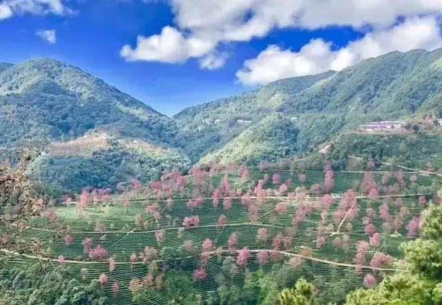 年初的旅行计划都实现了吗?这12个地方人少景美,再不去就晚了休闲区蓝鸢梦想 - Www.slyday.coM 年初的旅行计划都实现了吗?这12个地方人少景美,再不去就晚了休闲区蓝鸢梦想 - Www.slyday.coM