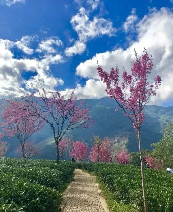 年初的旅行计划都实现了吗?这12个地方人少景美,再不去就晚了休闲区蓝鸢梦想 - Www.slyday.coM 年初的旅行计划都实现了吗?这12个地方人少景美,再不去就晚了休闲区蓝鸢梦想 - Www.slyday.coM