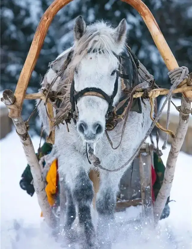 年初的旅行计划都实现了吗?这12个地方人少景美,再不去就晚了休闲区蓝鸢梦想 - Www.slyday.coM 年初的旅行计划都实现了吗?这12个地方人少景美,再不去就晚了休闲区蓝鸢梦想 - Www.slyday.coM