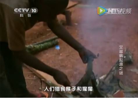 艾滋病毒入侵后，其实还有72小时自救……教育是最好的“疫苗”｜世界艾滋病日休闲区蓝鸢梦想 - Www.slyday.coM