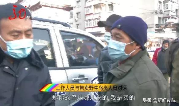 非法捕捉野生鸟类，进行售卖，抓了休闲区蓝鸢梦想 - Www.slyday.coM