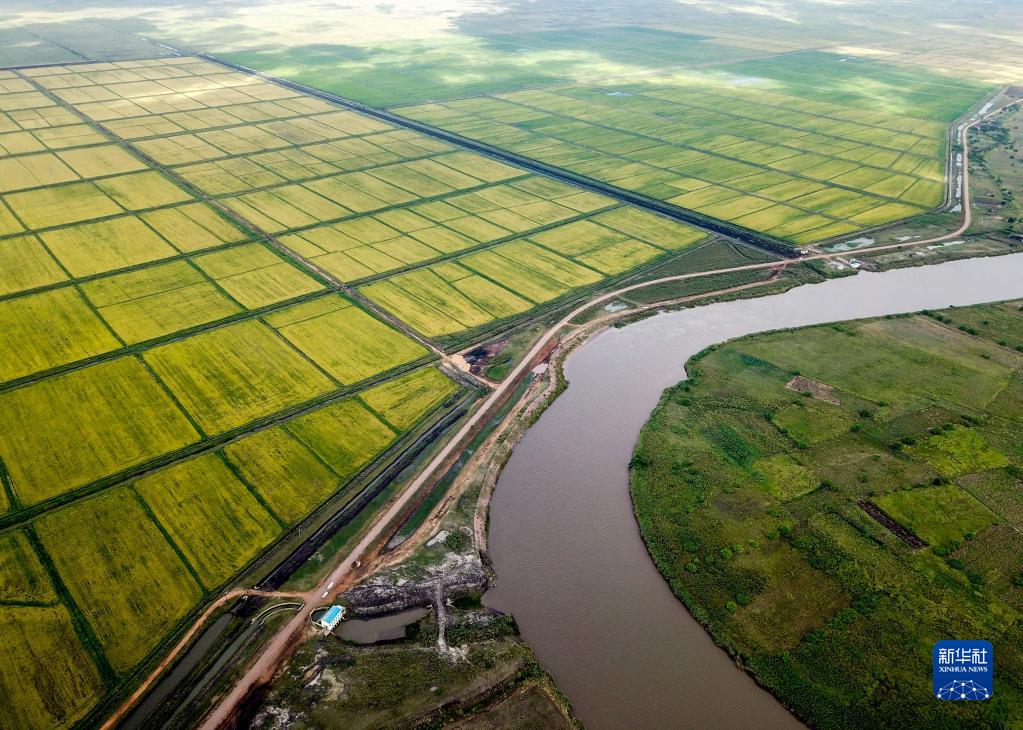 　　这是2019年4月7日无人机拍摄的莫桑比克万宝莫桑农业园的水稻田。万宝莫桑农业园是中国在非洲最大规模水稻种植项目，极大地缓解了莫桑比克粮食短缺问题。新华社记者 张宇 摄