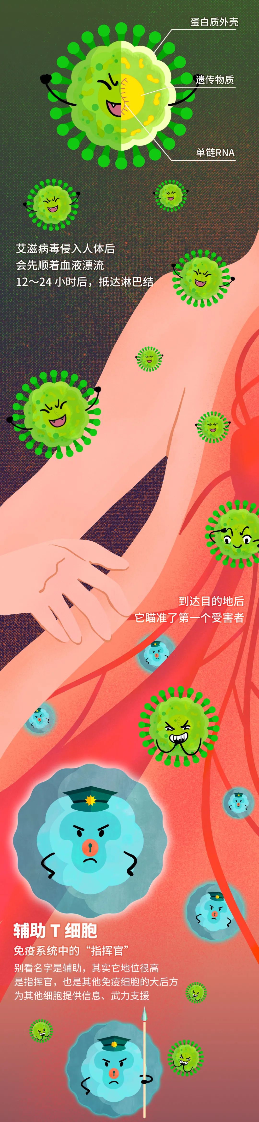 艾滋病毒入侵后，其实还有72小时自救……教育是最好的“疫苗”｜世界艾滋病日休闲区蓝鸢梦想 - Www.slyday.coM