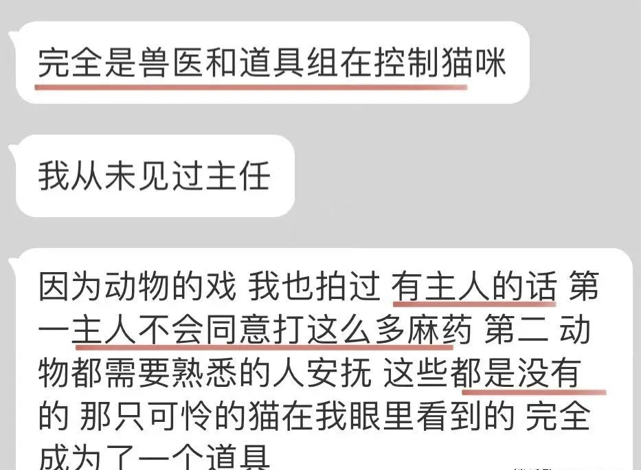 真相来了？《当家主母》参演者实名发声：猫被注射不明液体四五次休闲区蓝鸢梦想 - Www.slyday.coM