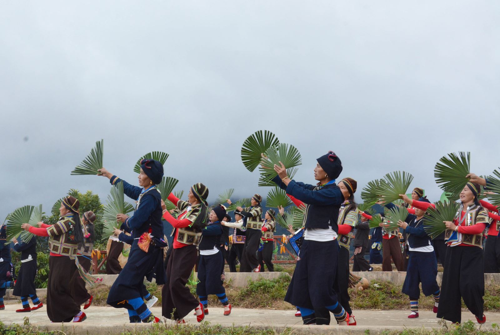 "棕扇舞"文化 元江县文化馆/杨红艳 图普洱市江城哈尼族彝族自治县整