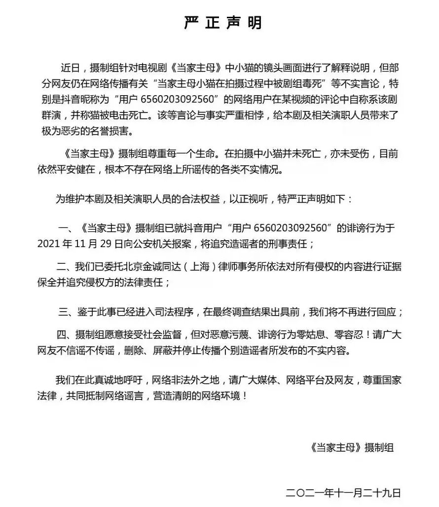 热议！《当家主母》陷“虐猫”疑云，出品方回应！休闲区蓝鸢梦想 - Www.slyday.coM