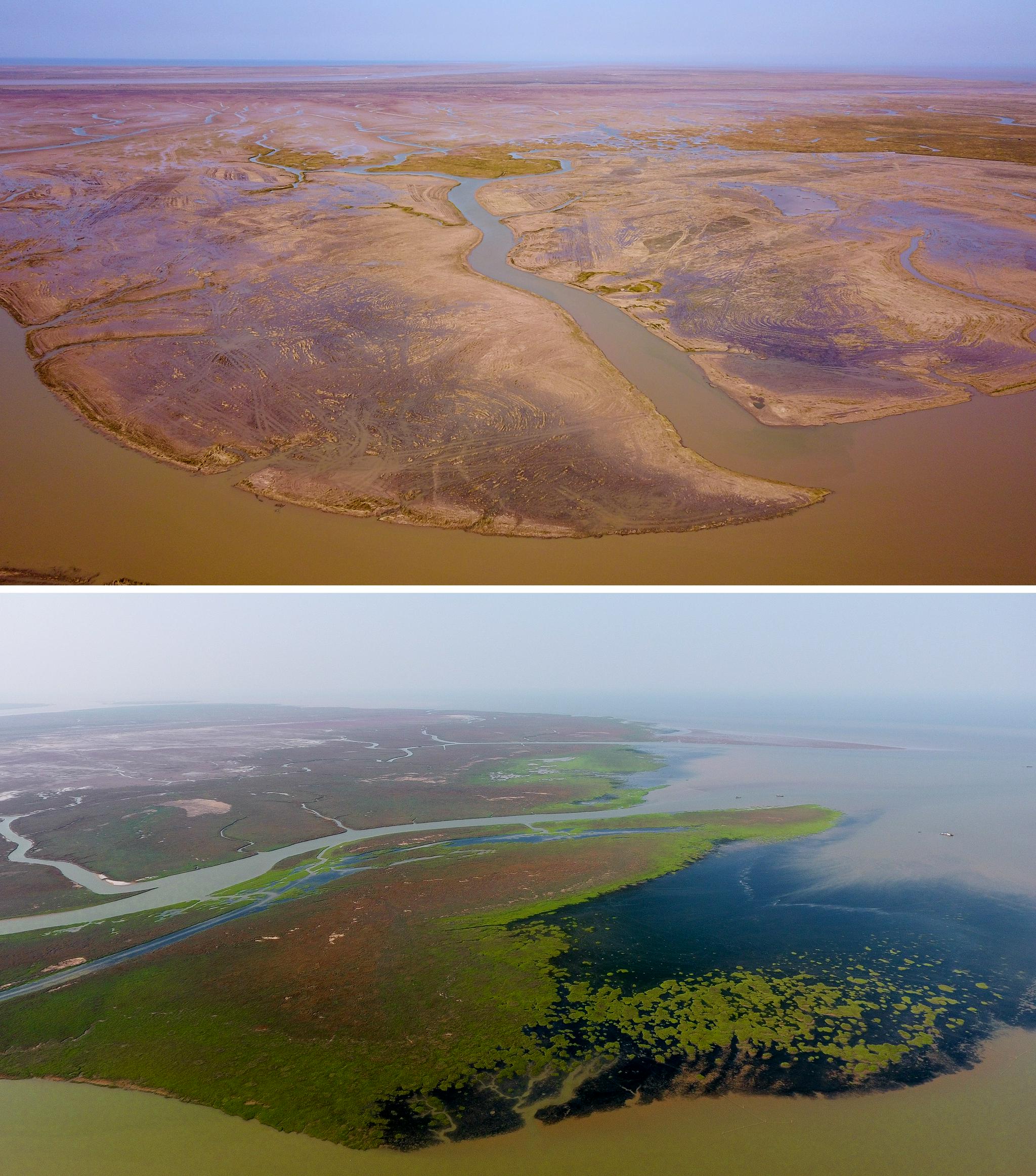 88万公顷|山东省|黄河三角洲|无人机_新浪新闻