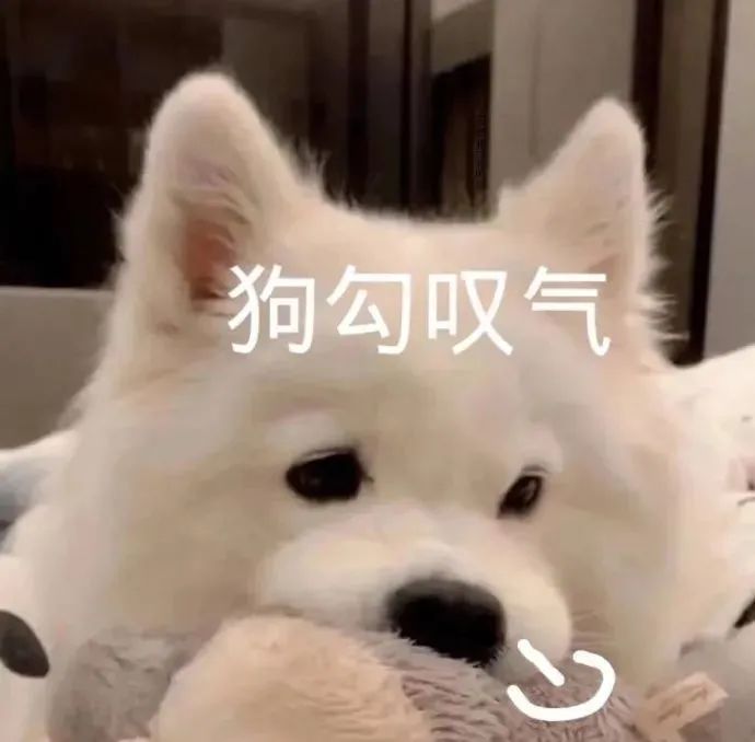 为啥冬天起床特别困难？原来真不是因为懒...上海人看完笑了！休闲区蓝鸢梦想 - Www.slyday.coM