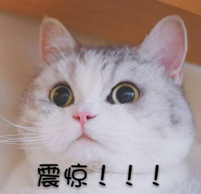 女子高烧42℃险丧命，只因吃了冰箱里的炒鸡饭？休闲区蓝鸢梦想 - Www.slyday.coM