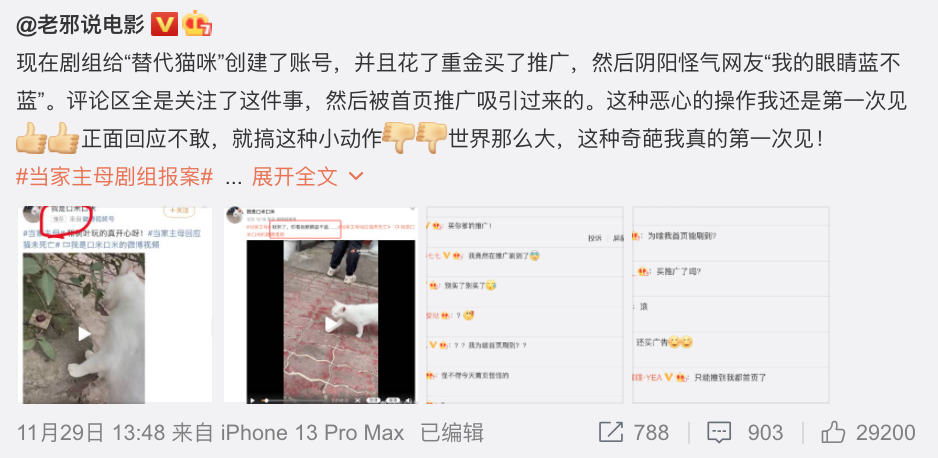 于正新剧《当家主母》被质疑毒死白猫，群演：官方一直在撒谎，拍摄两小时内猫被注射四五次不明液体休闲区蓝鸢梦想 - Www.slyday.coM