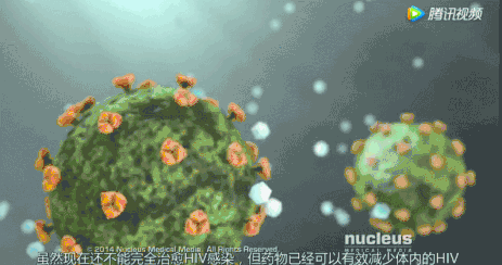 艾滋病毒入侵后，其实还有72小时自救……教育是最好的“疫苗”｜世界艾滋病日休闲区蓝鸢梦想 - Www.slyday.coM