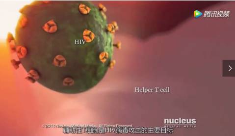 艾滋病毒入侵后，其实还有72小时自救……教育是最好的“疫苗”｜世界艾滋病日休闲区蓝鸢梦想 - Www.slyday.coM