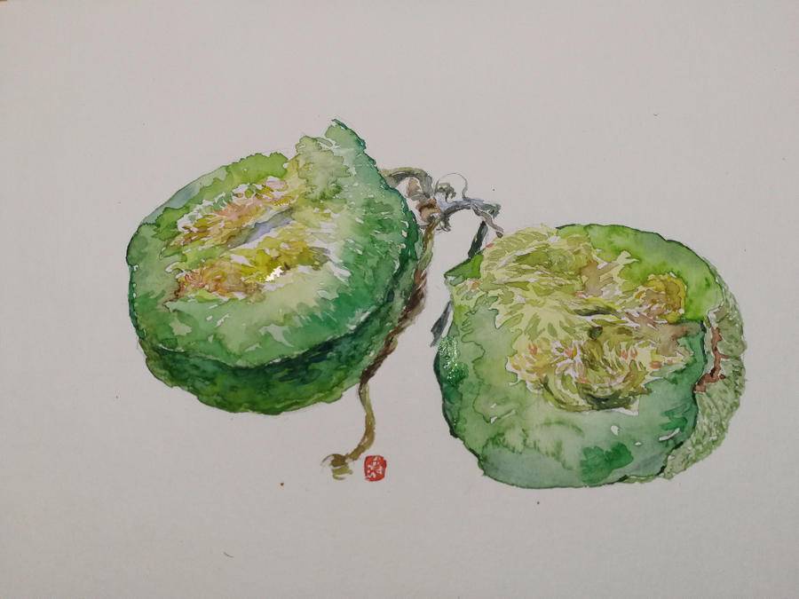 贾绍萍轻水彩系列一日三餐之甜瓜香