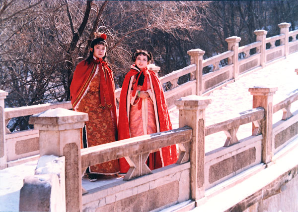 红楼梦贾母送给宝琴的凫靥裘到底名贵在哪