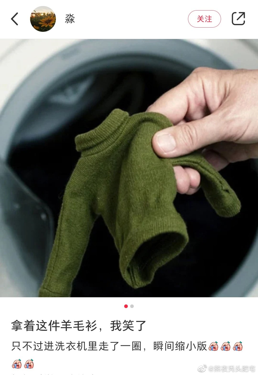 衣服缩水能有多严重!哈哈哈哈哈这也太小了吧!|衣服_新浪新闻