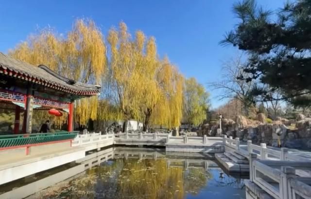 走进红楼梦里的大观园,规模气质都超过了恭王府,冬天都那么美休闲区蓝鸢梦想 - Www.slyday.coM