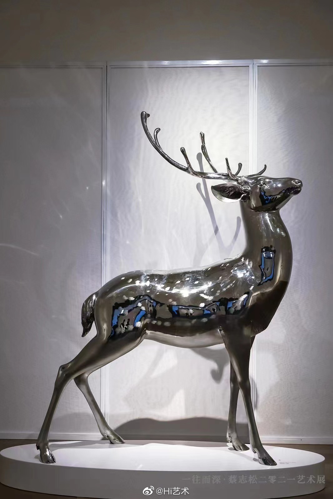 他把苏博变成了鹿园艺术家蔡志松最近三年来常驻苏州