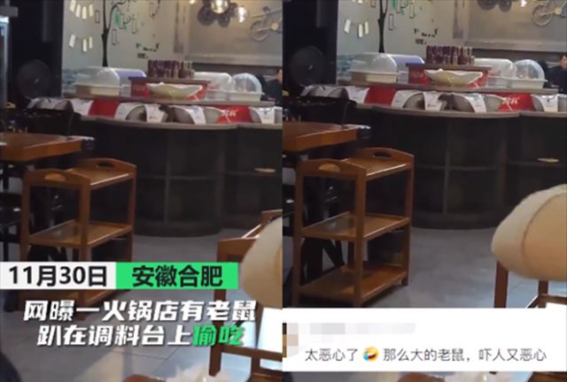 合肥一火锅店老鼠趴在调料台上偷吃,商家:可能是从别店跑来的休闲区蓝鸢梦想 - Www.slyday.coM 合肥一火锅店老鼠趴在调料台上偷吃,商家:可能是从别店跑来的休闲区蓝鸢梦想 - Www.slyday.coM