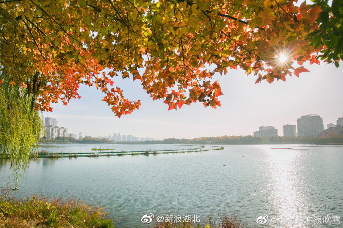 武汉市南湖幸福湾公园色彩斑斓……|南湖|幸福湾|武汉市_新浪新闻