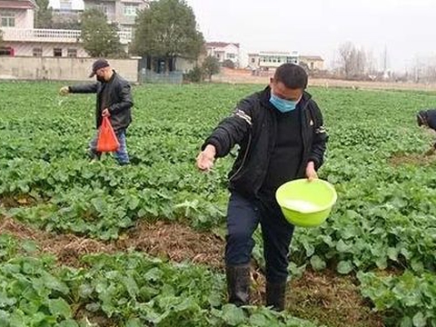 贵州山区种辣椒，土壤偏酸，施肥有啥要特别注意的不？