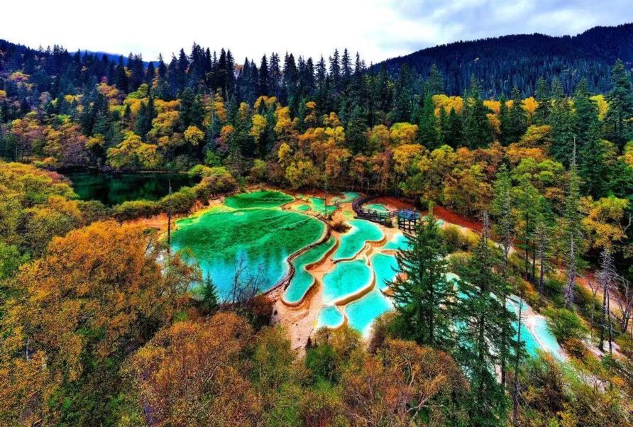 乳白色钙质包裹典型的喀斯特地貌被誉为"站在九寨看黄龙"集九寨沟和