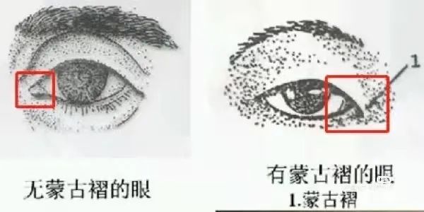 蒙古眼才是影响亚洲女生颜值罪魁祸首？早知道这些真的不去做双眼皮了！