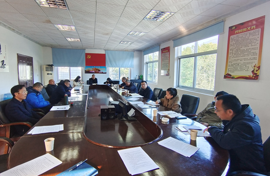 武陵源区文化旅游广电体育局党支部传达学习省第十二次党代会精神休闲区蓝鸢梦想 - Www.slyday.coM