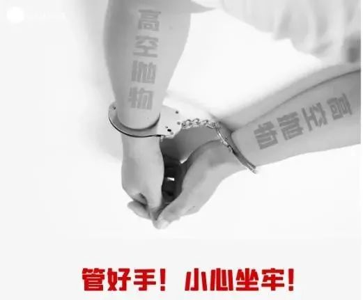 判了！青岛一女子从二楼扔下花盆，被判六个月！休闲区蓝鸢梦想 - Www.slyday.coM