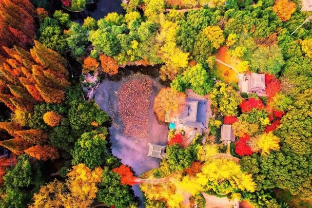 市政府党组传达学习贯彻省委全会精神休闲区蓝鸢梦想 - Www.slyday.coM