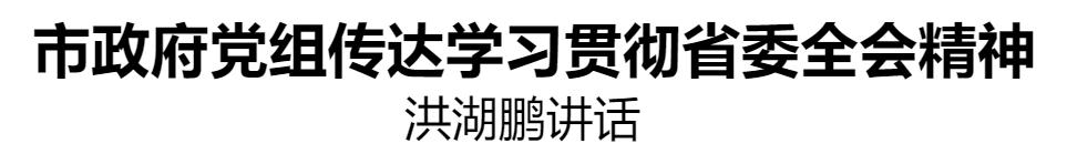 市政府党组传达学习贯彻省委全会精神休闲区蓝鸢梦想 - Www.slyday.coM
