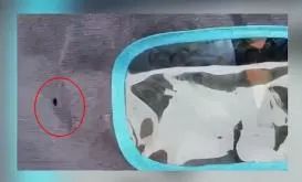 判了！青岛一女子从二楼扔下花盆，被判六个月！休闲区蓝鸢梦想 - Www.slyday.coM