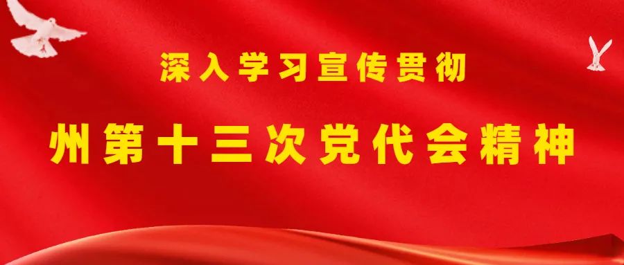 【认真学习贯彻党的十九届六中全会精神】临夏县持续掀起学习贯彻党的十九届六中全会精神热潮休闲区蓝鸢梦想 - Www.slyday.coM