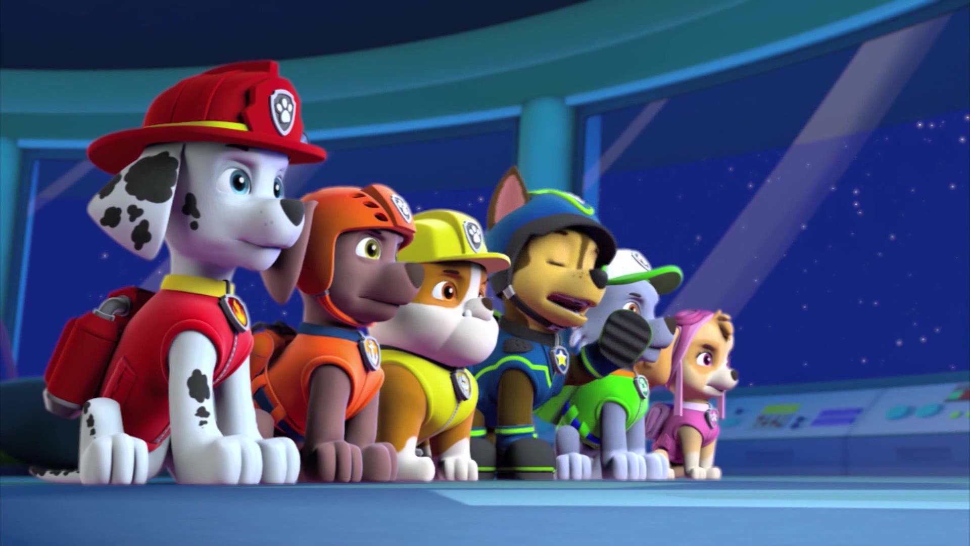 汪汪队立大功:宇宙飞船落在农场,汪汪队出动,去调查飞船